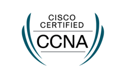-Cisco Certified Network Associates